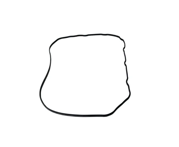 Door Sealing Gasket